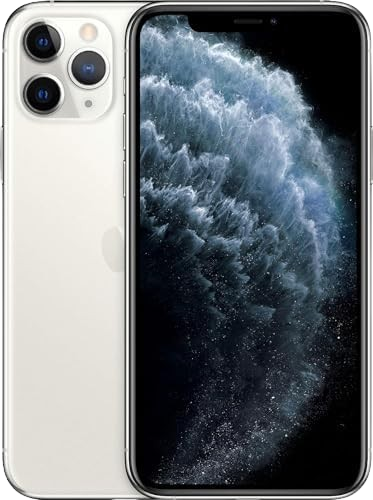 iPhone 11 Pro Max, 64GB, Plata (Nuevo)