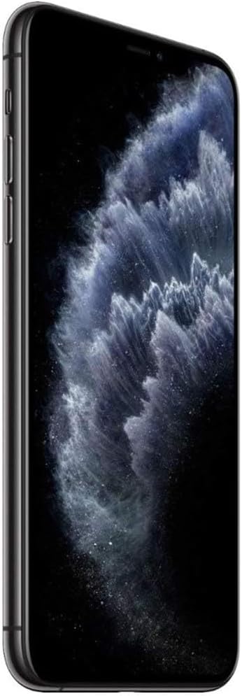 iPhone 11 Pro Max, 64GB, Negro Espacial (Nuevo)