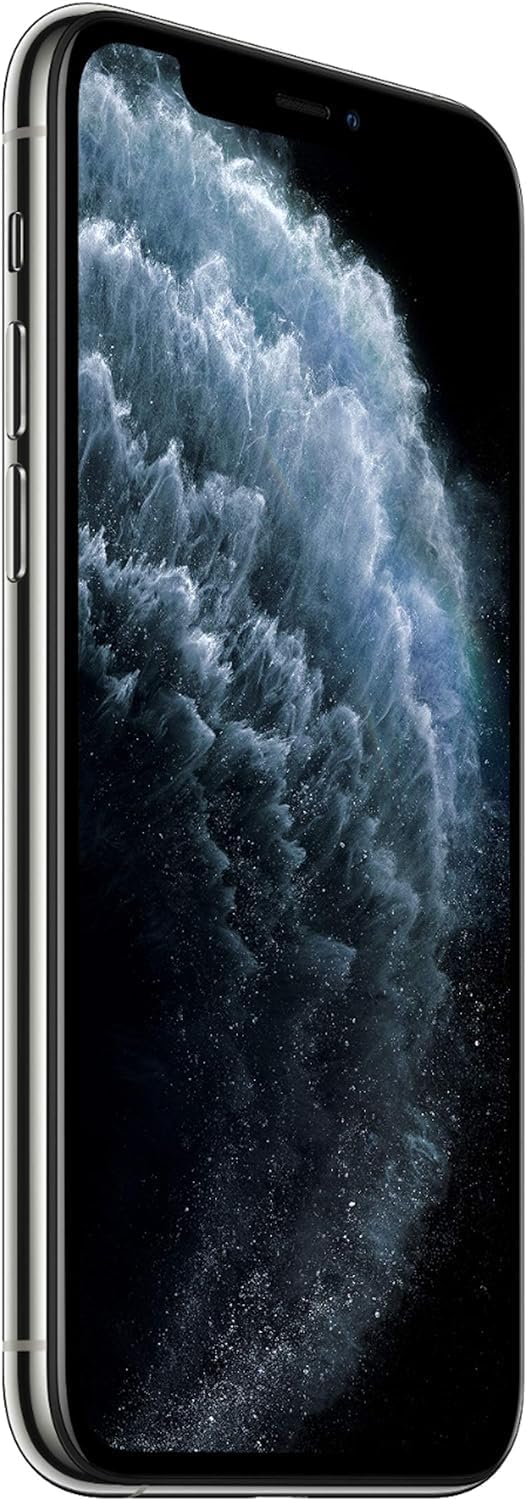 iPhone 11 Pro Max, 64GB, Plata (Nuevo)