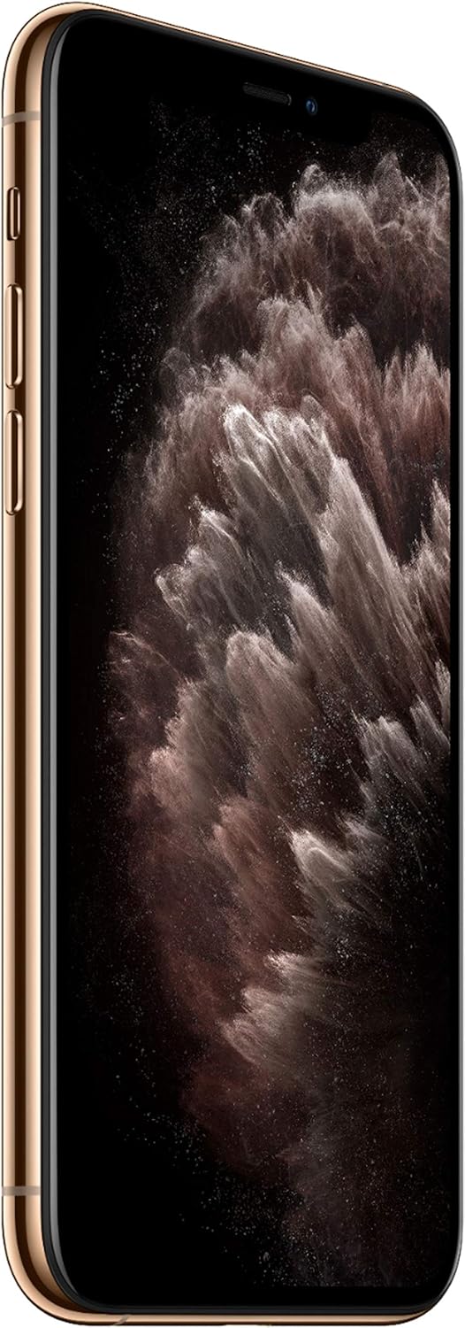 iPhone 11 Pro Max, 64GB, Dorado (Nuevo)